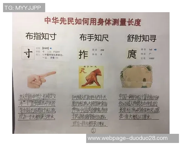 探寻NAME背后的秘密与意义，解读其在现代生活中的影响与价值